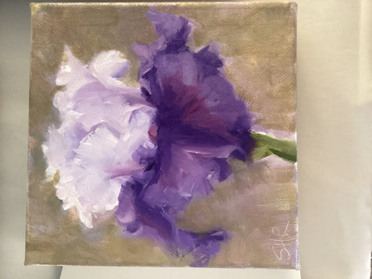 Sally Reid purple iris oil