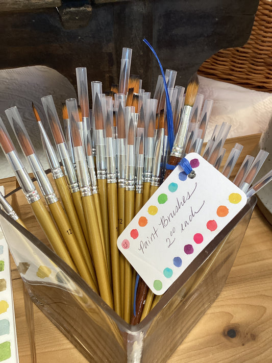 Assorted Paint Brushes