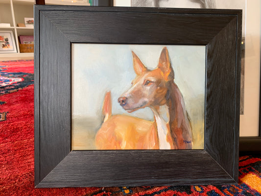 Monica Dahl “Ibizan Hound Study”